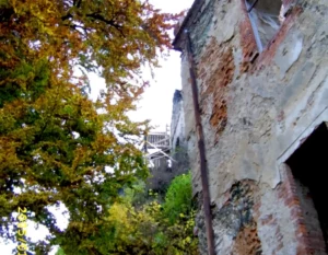 OZ_N_2-450x350_cover